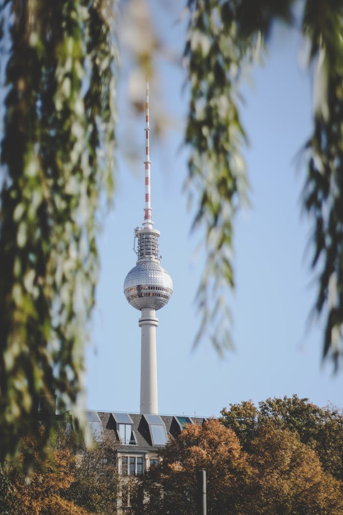 Berlin's iconic TV Tower framed by autumn leaves, captured on a clear day.